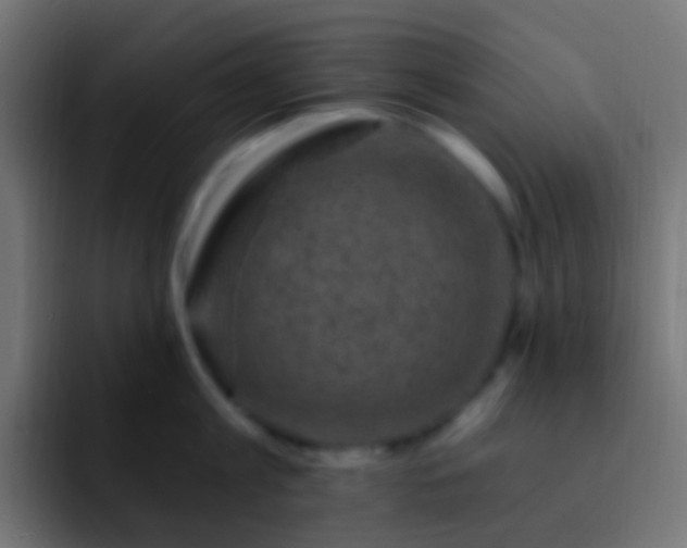 X0000093170813200710031503