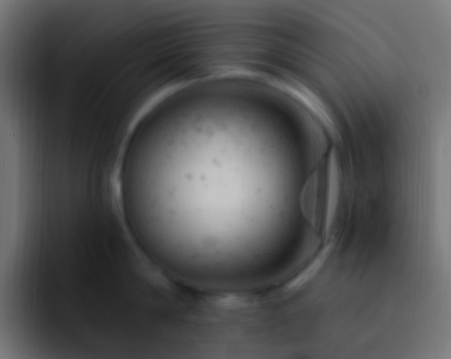 X0000093170814200710031503