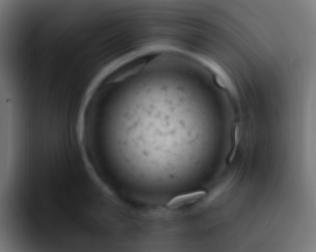X0000093170815200710031503