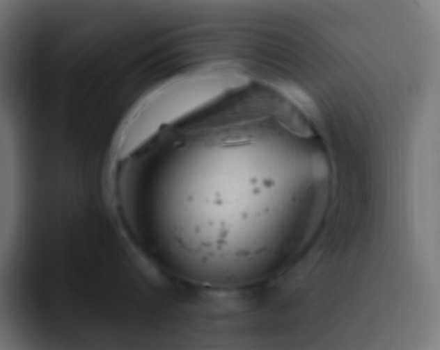 X0000093170816200710031502