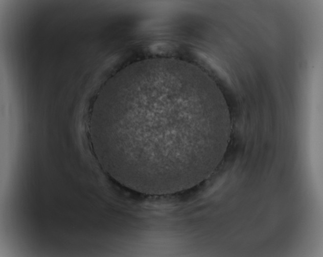 X0000093170817200710031502
