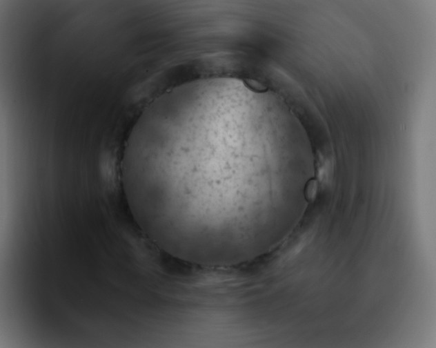 X0000093170819200710031502