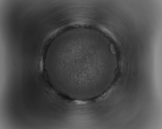 X0000093170822200710031502