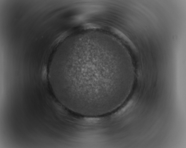 X0000093170825200710031502