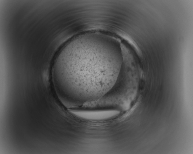 X0000093170826200710031502