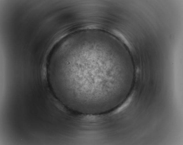 X0000093170827200710031502