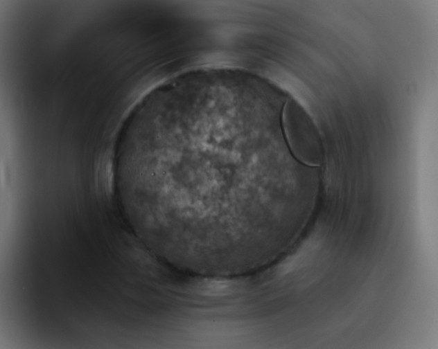 X0000093170829200710031502