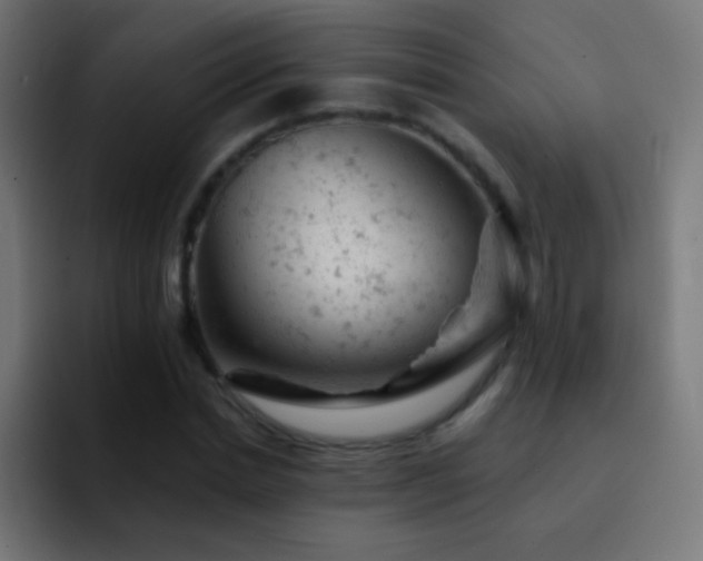X0000093170830200710031502