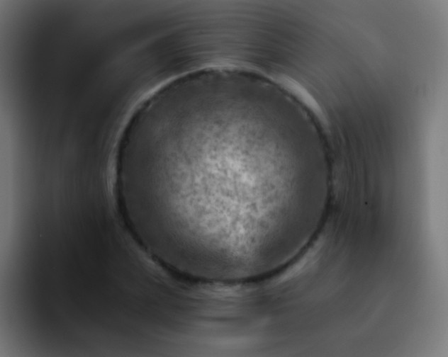 X0000093170831200710031502
