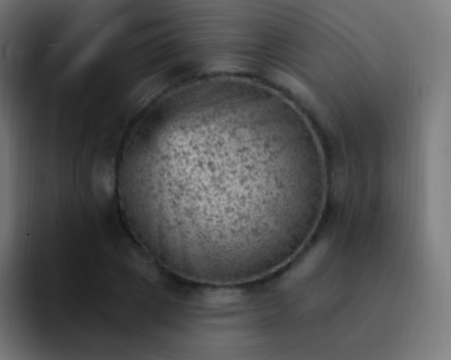 X0000093170833200710031502