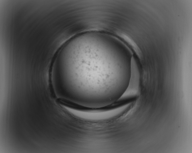 X0000093170834200710031502