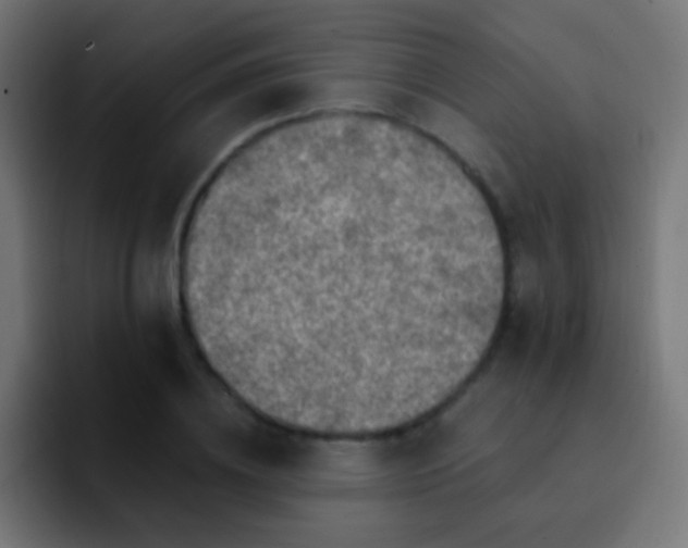 X0000093170836200710031502