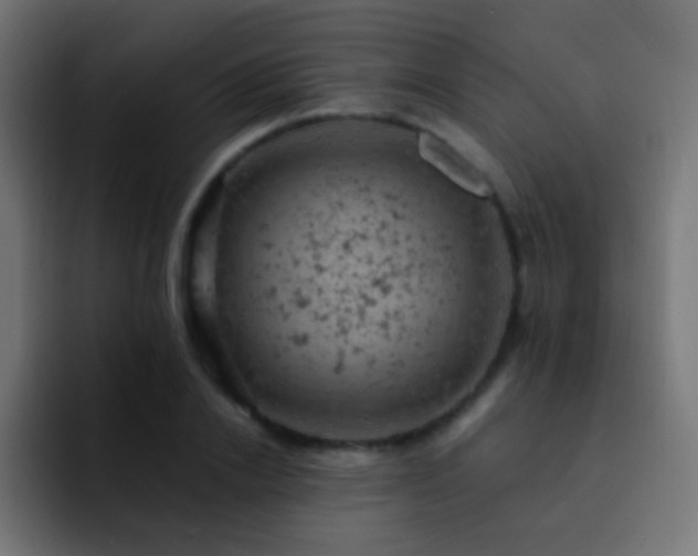 X0000093170838200710031502