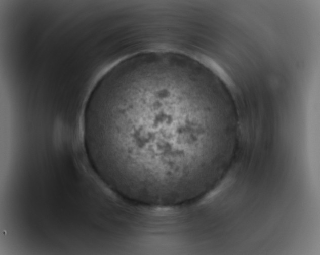 X0000093170839200710031502