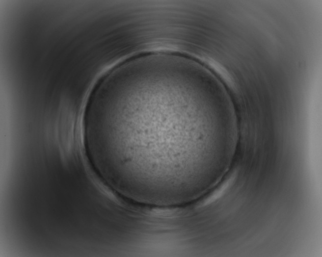 X0000093170840200710031502