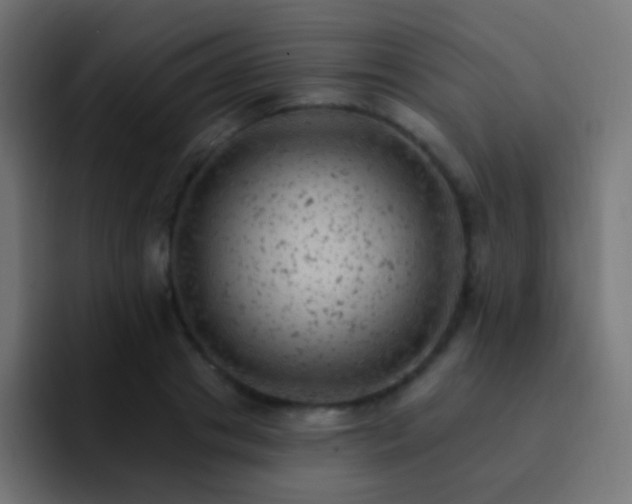 X0000093170841200710031502