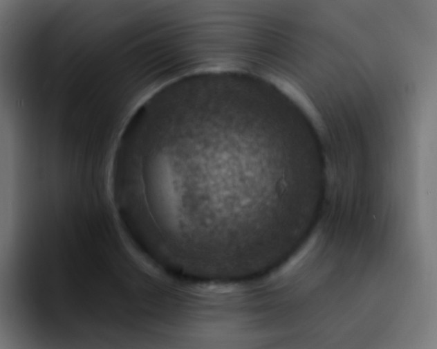 X0000093170842200710031502