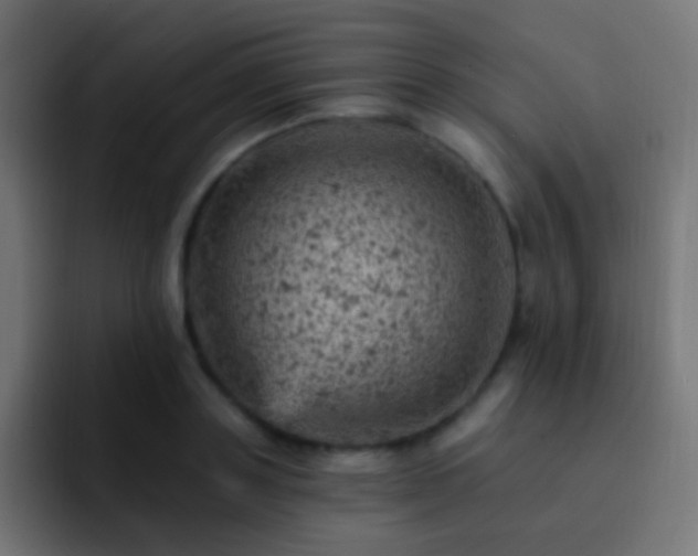 X0000093170843200710031502