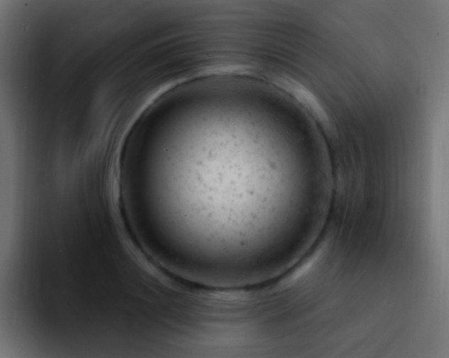X0000093170844200710031502