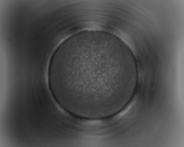 X0000093170845200710031502