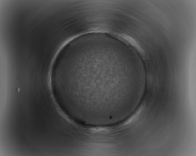 X0000093170846200710031502