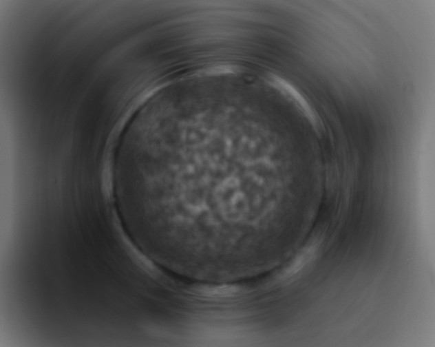 X0000093170851200710031502