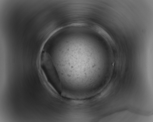 X0000093170852200710031502
