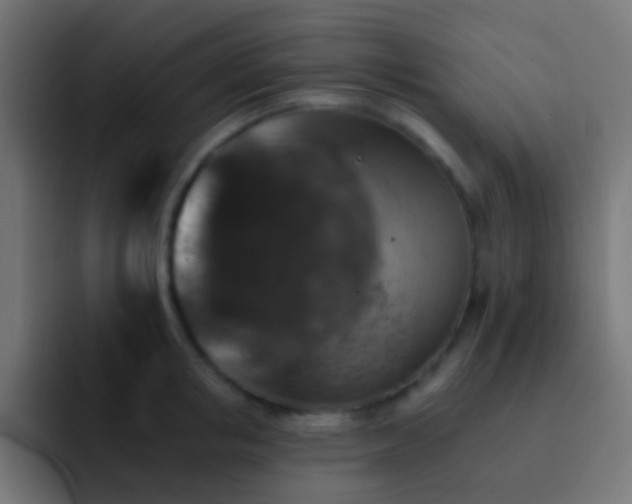 X0000093170853200710031502
