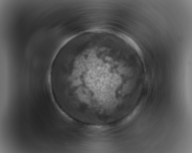 X0000093170855200710031502