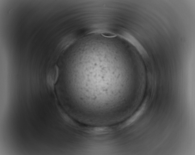 X0000093170857200710031502