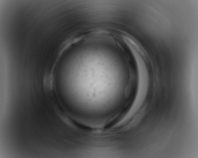 X0000093170858200710031502