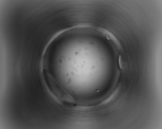 X0000093170860200710031502