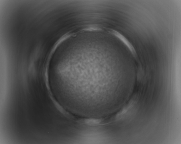 X0000093170861200710031502