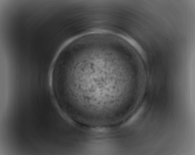 X0000093170862200710031502