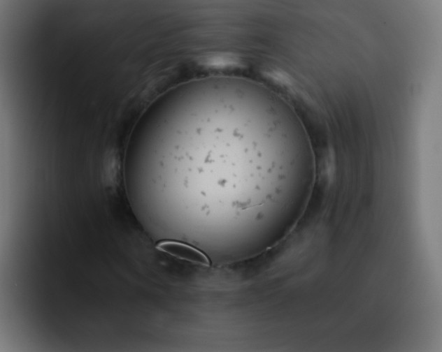 X0000093170866200710031502