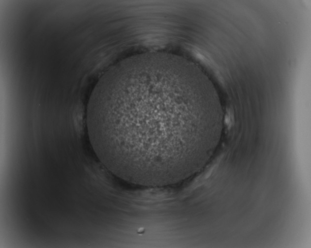 X0000093170867200710031502