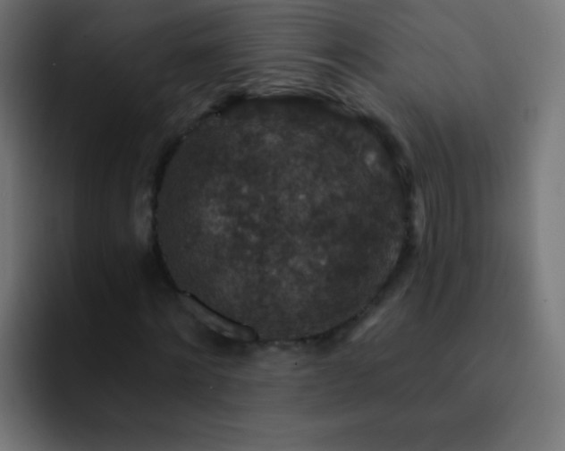 X0000093170868200710031502