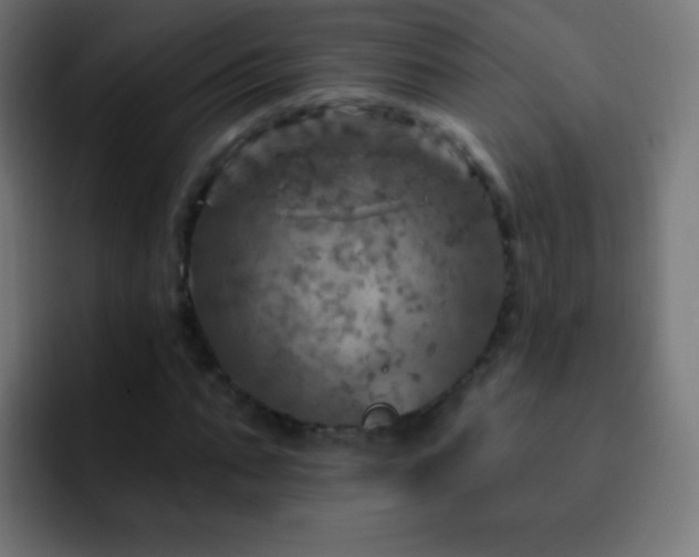 X0000093170871200710031502