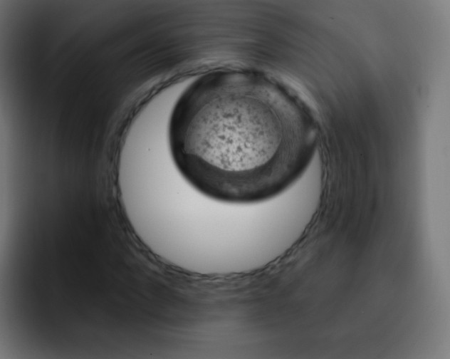 X0000093170872200710031502