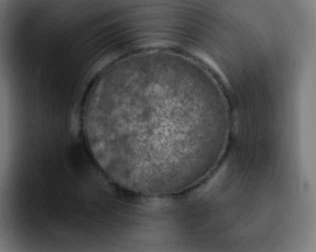 X0000093170874200710031502