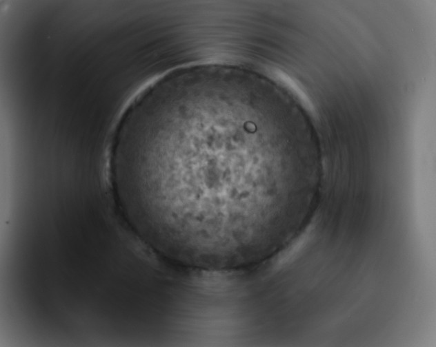 X0000093170875200710031502
