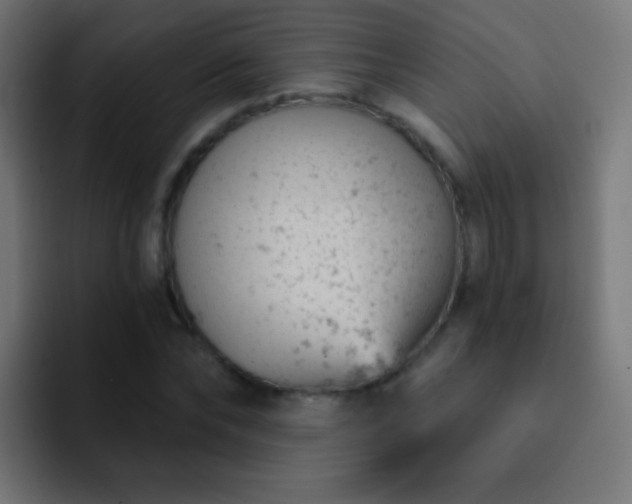 X0000093170878200710031502