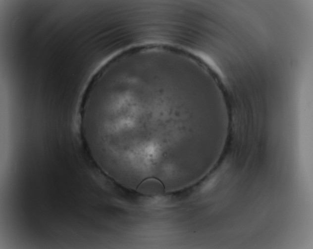X0000093170879200710031502