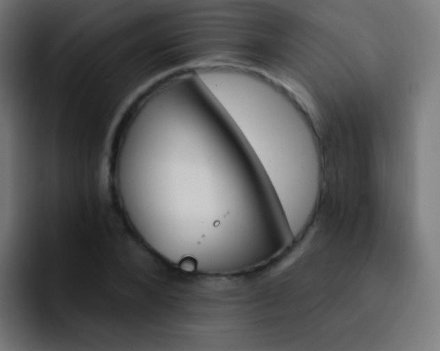 X0000093170880200710031502