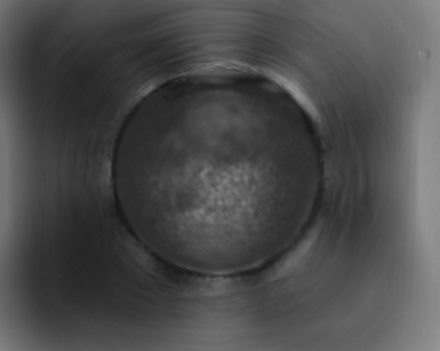 X0000093170881200710031502