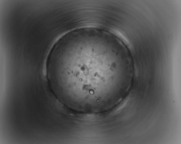 X0000093170883200710031502