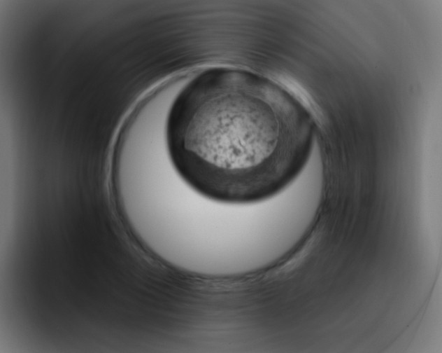 X0000093170884200710031502