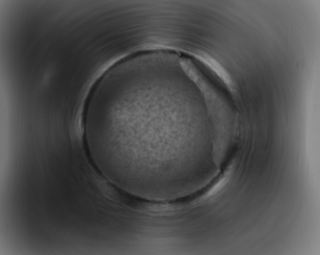 X0000093170885200710031502