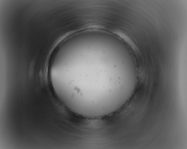 X0000093170886200710031502