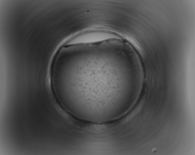 X0000093170888200710031502